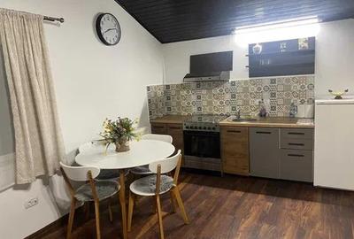 Garsonieră nedecomandată, mobilată în Copou