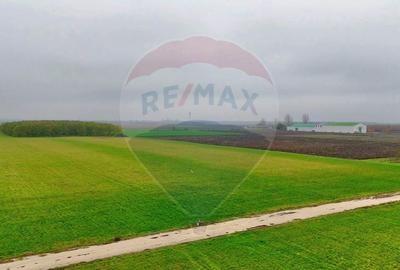 Ferma agro-industrială – 43 ha Adunații Copaceni - 9