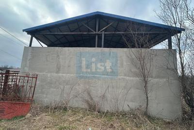 Hala industriala, com Dragutesti. Comision 0% - 3