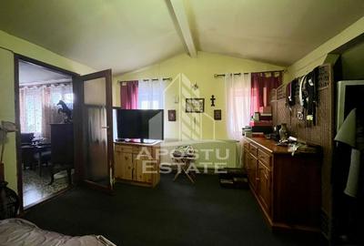 Casa cu 6 camere, pe doua nivele, zona Lipovei, Timisoara - 10