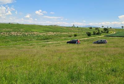 TEREN INTRAVILAN  BOD - 1200 mp pentru constructii case Sp+P+E+M - 1