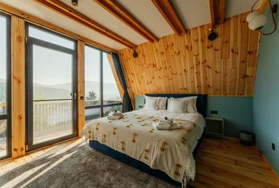 Afacere la cheie in Vatra Dornei, 2 cabane tip A Frame! - 17