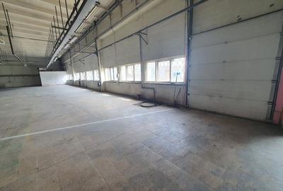 Spațiu comercial, 1000 mp în Tudor