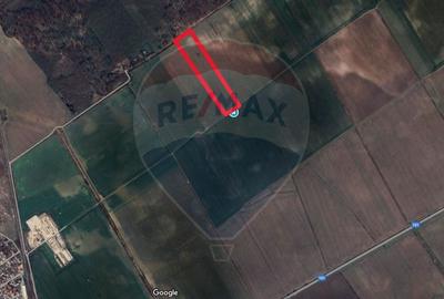 Teren intravilan Buftea, langa Padurea Mocanului - 4