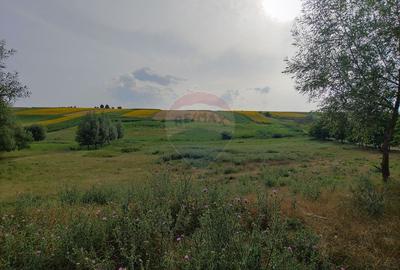 Teren parțial intravilan-300000mp Stroiești-Trei Movile, Suceava - 27