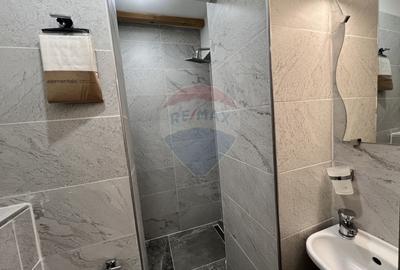 Penthouse cu 5 camere si terasa cu view de inchiriat in Grigorescu - 28