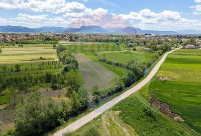 Teren 25.100 mp cu potențial major de dezvoltare în Prejmer - 16