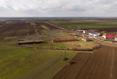 Fermă cu teren intravilan de 35000 mp în Mișca - 9