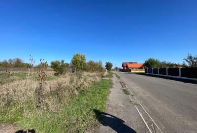 Teren de vanzare Prejmer - 7