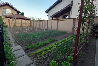 Casă Superba CETATE Dealul Furcilor 326 mp Teren Curte Terasă Grădină FInisată - 19