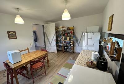 BELCIUGATELE- Casă de vacanță sau locuință permanentă - 14