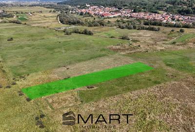 Teren agricol extravilan de 2000 mp, în Șelimbăr