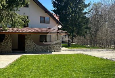 Pensiune/ Vila Valea Avrigului - 1