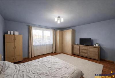 Nivel in casa cu 2 apartamente,145 mp utili+ teren 338mp, Gheorghe Doja - 11