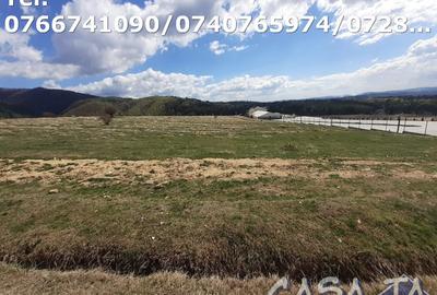 Teren Construcții intravilan de 3000 mp, în Central