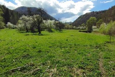 Teren Construcții intravilan de 2148 mp, în Sud-Est