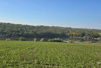 Loturi de teren intravilan la Lebada - 2