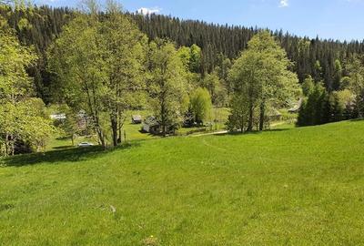 Vand teren 7800mp din care 3000 intravilan si 3800 mp padure - 2