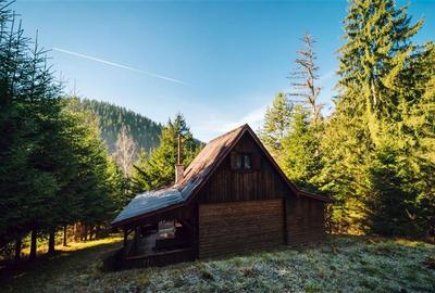 Casa de vacanta (Gheorgheni, zona Magasbukk) - 8