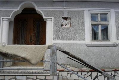 Casă cu 3 camere în Poiana Sibiului - 6