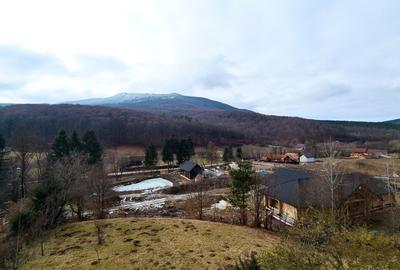 CASA VILA DE VIS PE VALEA DOBARLAULUI - JUD. COVASNA - 5