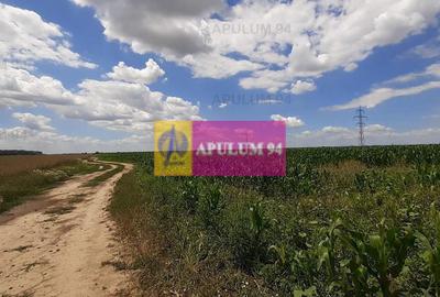 Teren 715mp în Snagov lângă Equestria - 27