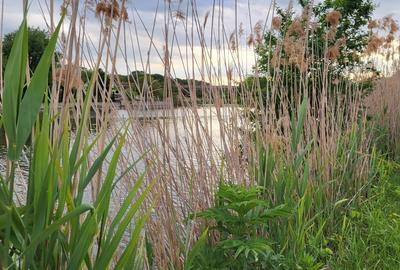 VANZARE TEREN CU VEDERE LAC CORBEANCA PRET NEGOCIABIL - 1