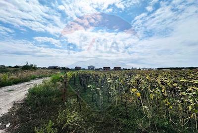 Teren 14.863mp, deschidere 42mp, acces 3 laturi - Ciorogarla, langa A0 - 5