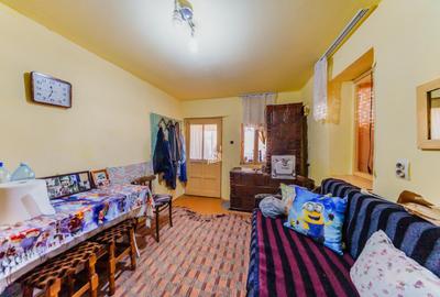 Casă de vânzare 2189mp - Seitin, judetul Arad - 8
