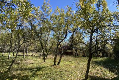 Casa+teren 2713 mp in loc. Babana, jud. Arges. Comision 0% - 5