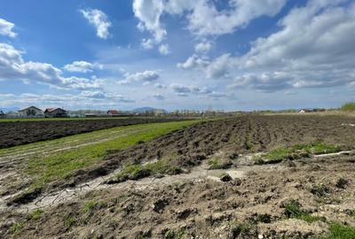 Teren Construcții intravilan de 480 mp, în Stupini