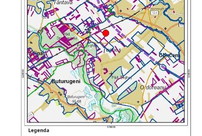Teren 3.000 mp in Domnesti - Pret bun, oportunitate investitie rapida - 5