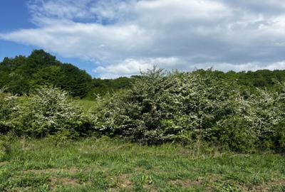 Teren intravilan, 4300 MP, zona Valea Garbaului - 1