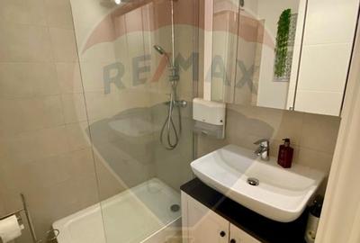 Apartament 3 camere Herastrau Soseaua Nordului - 12
