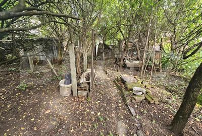 Casa demolabila, teren 561 mp, pentru dezvoltare imobiliara, duplex, Hasdeu! - 4