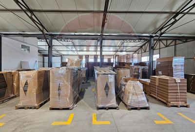 Hale Industriale 5065 mp de vanzare Str. Bradului - Bacau - 3