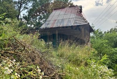 Casă individuală cu 2 camere în Brusturi