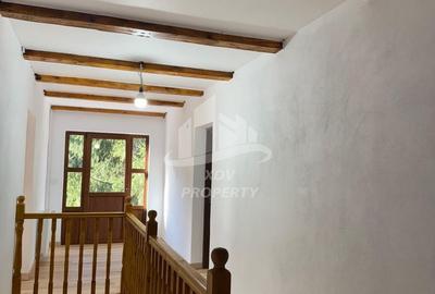 Pensiune/ Vila Valea Avrigului - 17