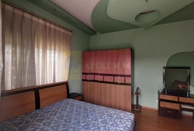 Vilă Mare în Voluntari - 12