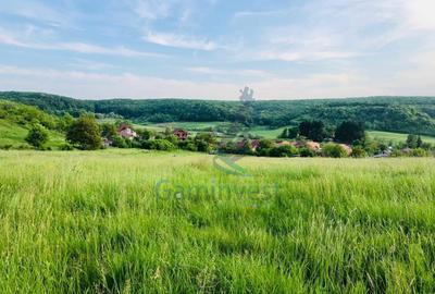 Teren mixt de vanzare in Hidiselu de Jos, Bihor - 1