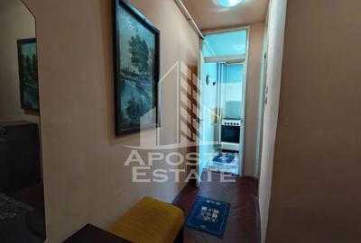 Apartament cu 1 camera, de vanzare, etaj 2, zona Iulius Mall, Timisoara - 5