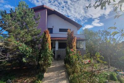 Vila Pasarea - 700mp - 1