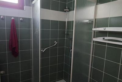 Vanzare vila P+1+M cu 5 camere, casa batraneasca , 2 garaje, teren 9249mp, - 17