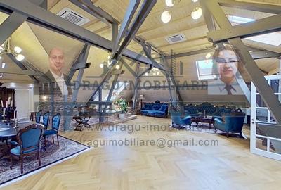Vila Magnifica Tecuci - Splendoare Arhitecturală și Lux Modern - 11