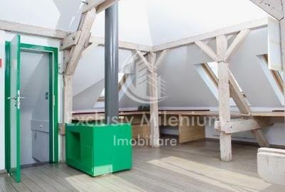 La Vila Birouri Decebal -Piata  Muncii Et 1+M - 12