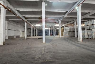 DE INCHIRIAT Spațiu industrial de 3000 mp în Buftea - 10