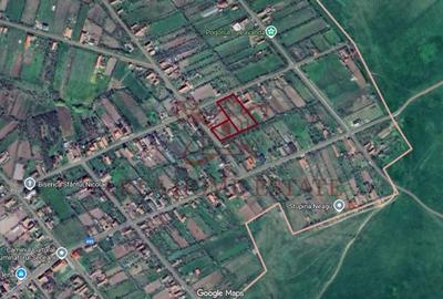 Teren Construcții intravilan de 1855 mp, în Seceani