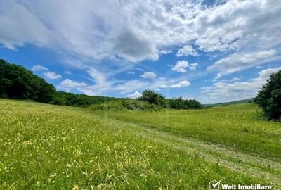 Oportunitate investitie, teren cu panorama pentru cabane - 3