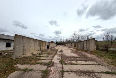HALE INDUSTRIALE | CLADIRE BIROURI | TEREN 7000 MP | GHEGHIE BIHOR - 11