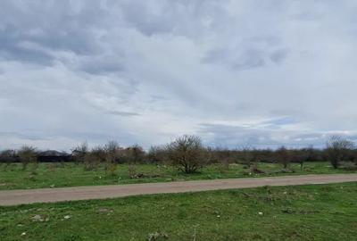 Teren Construcții intravilan de 533 mp, în Sânpetru